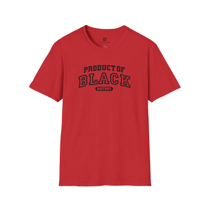 Black History T-Shirt