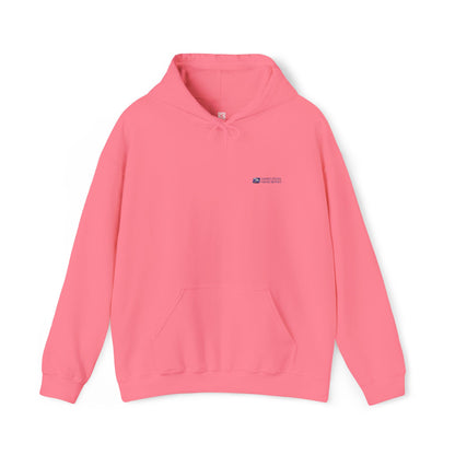 Embroidery USPS Logo Pullover Hoodie