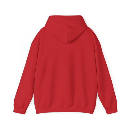 USPS Pullover Hoodie