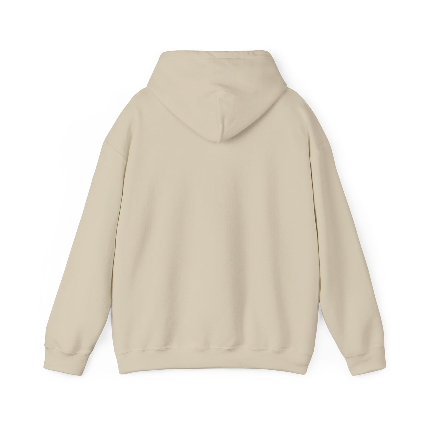 USPS Pullover Hoodie