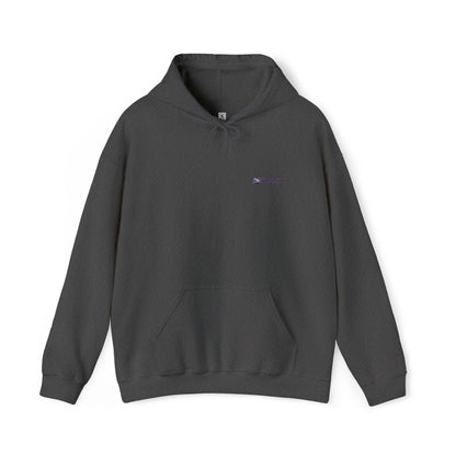 Embroidery USPS Logo Pullover Hoodie