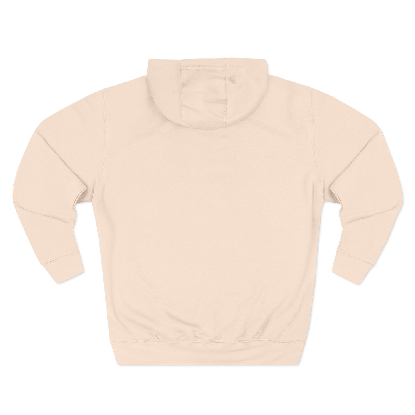 USPS 2025 Theme Pullover Hoodie