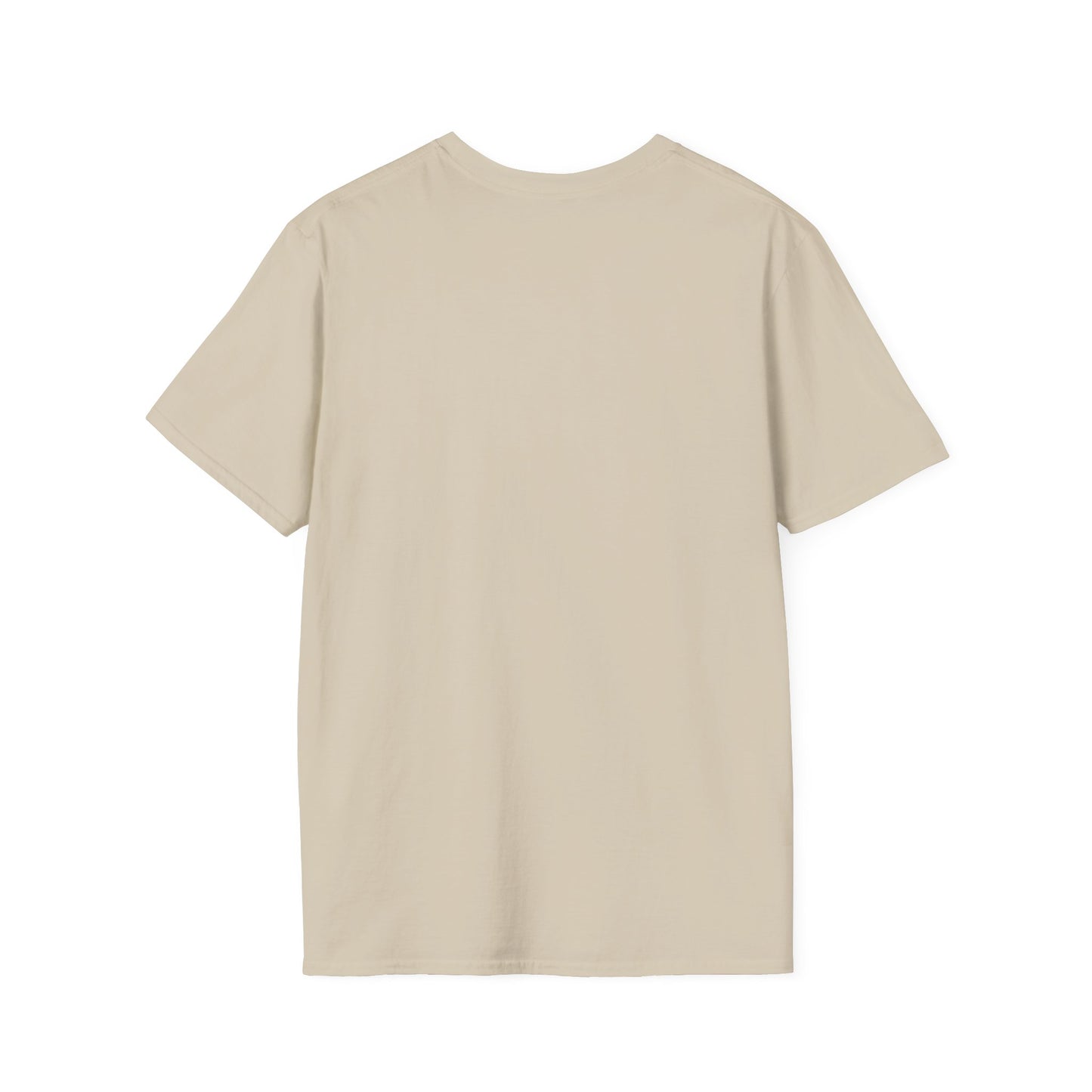 USPS T-Shirt